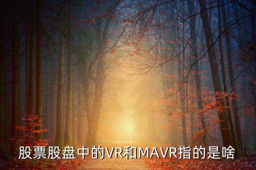 vr股是什么，股票股盤中的VR和MAVR指的是啥