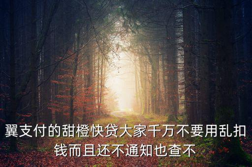 甜橙快貸資源未找到是什么意思，翼支付的甜橙快貸大家千萬不要用亂扣錢而且還不通知也查不