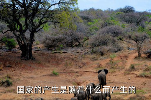 國家是怎么產生的,中國五帝時期是中國古代國家形成階段