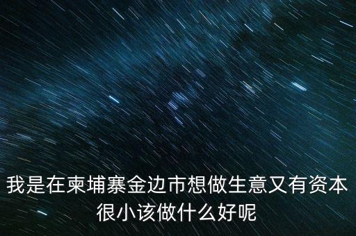 柬埔寨投資100萬元能干什么，我是在柬埔寨金邊市想做生意又有資本很小該做什么好呢