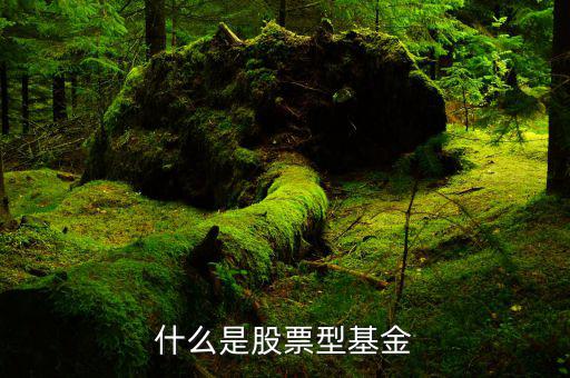 什么是權重股票基金，什么是股票型基金