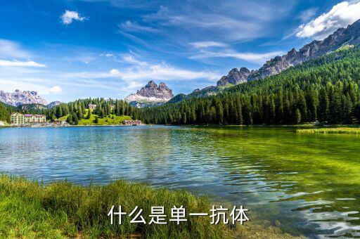 什么是單抗藥物，美珀利單抗是一種什么藥