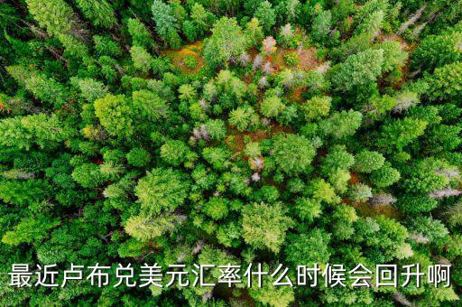 盧布什么時(shí)候能回升，最近盧布兌美元匯率什么時(shí)候會(huì)回升啊