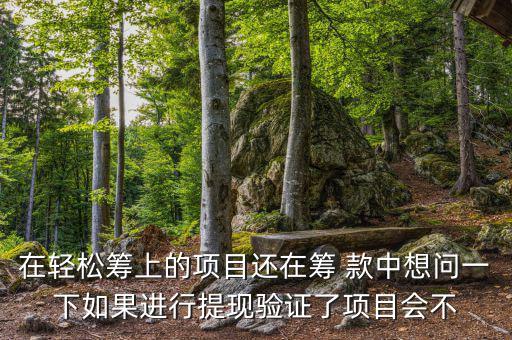 輕松籌提現(xiàn)有什么審核，輕松籌審核條件