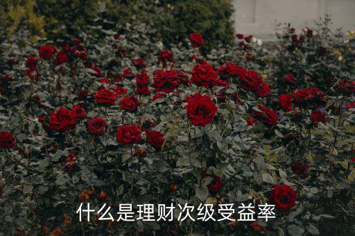 次級(jí)收益是什么，什么是理財(cái)次級(jí)受益率