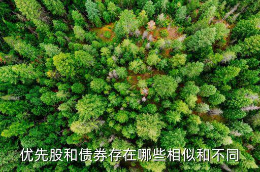 境外優(yōu)先股是什么，優(yōu)先股試點(diǎn)是什么說(shuō)的詳細(xì)點(diǎn)