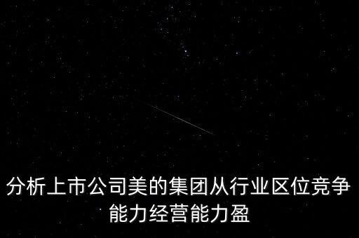 分析上市公司美的集團從行業(yè)區(qū)位競爭能力經營能力盈