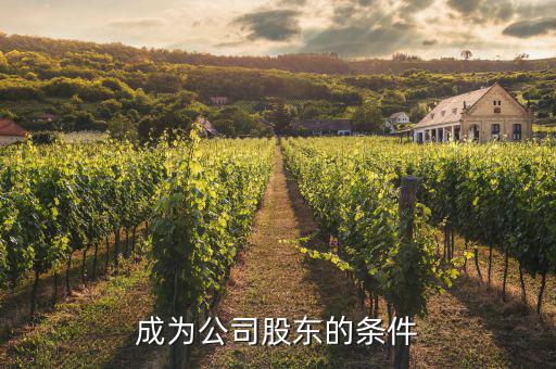 控股股東需要什么條件，如何成為控股股東呀