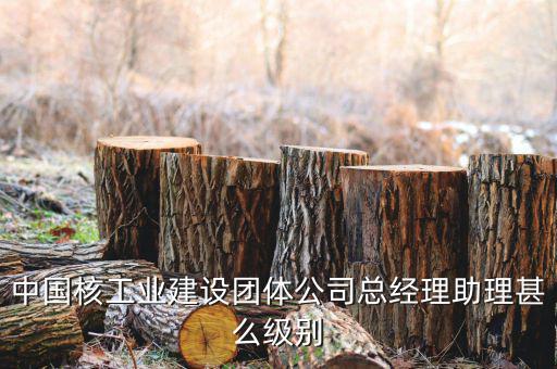中國核工業(yè)集團什么級別，中國核工業(yè)建設(shè)團體公司總經(jīng)理助理甚么級別