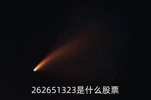 208393股票是什么，262651323是什么股票