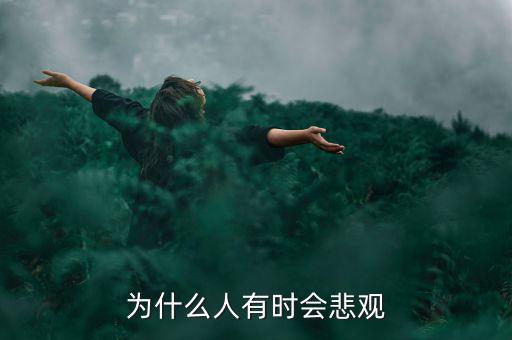 為什么悲觀，為什么我十幾歲就非常非常悲觀呢詳細(xì)請見詳細(xì)描述