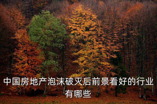 房地產(chǎn)泡沫后什么行業(yè)賺錢，如果真有一天中國(guó)房地產(chǎn)泡沫破了我們做點(diǎn)什么賺錢呢或者說有