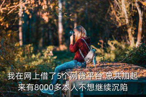 什么網(wǎng)貸能帶8000，今年二十我想貸款八千現(xiàn)有工作分是還款靠譜有好心人幫忙指點(diǎn)