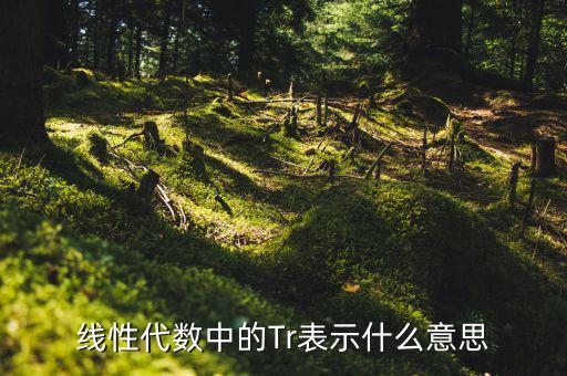 一陽(yáng)穿四線說(shuō)明什么，一陽(yáng)穿四線成交增量的股票會(huì)漲嗎