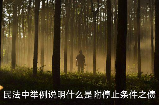 附停止條件的合同是什么意思，請教一下 怎么理解附條件和附期限合同啊 最好舉個例子 萬分感謝  搜