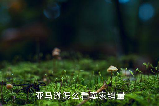 亞馬遜怎么看賣家銷量