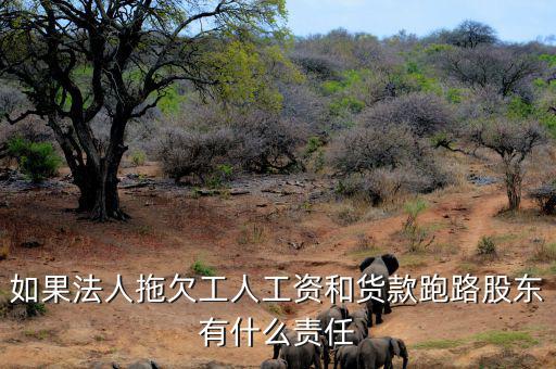 法人跑路屬于什么罪，申請勞動仲裁被告用人單位法人代表逃跑了怎么辦他將背負什么罪