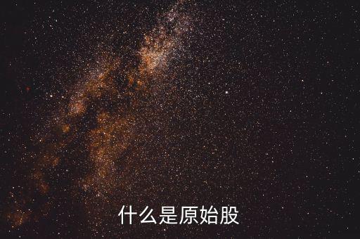 公司原始股是什么，什么是原始股怎樣買原始股