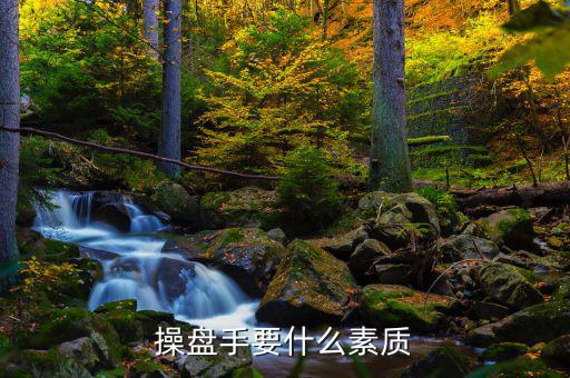 操盤手有什么要求，操盤手要什么素質(zhì)