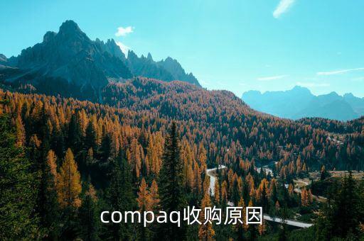 泰一指尚為什么被收購(gòu)，compaq收購(gòu)原因
