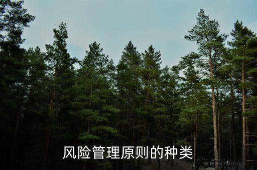 風(fēng)險(xiǎn)管理原則的種類(lèi)