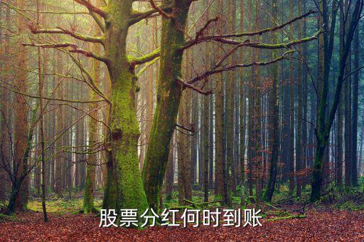 分紅什么時(shí)候到賬，分紅的金額什么時(shí)候會(huì)到賬戶