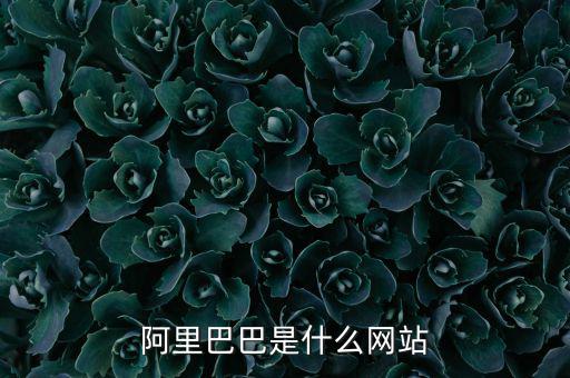阿里巴巴是什么網(wǎng)站，阿里巴巴是什么網(wǎng)站