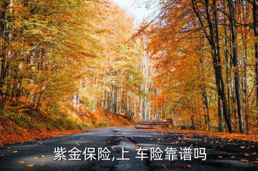 紫金車(chē)險(xiǎn)理賠怎么樣,三大保險(xiǎn)公司:紫金保險(xiǎn)可靠三音內(nèi)接通