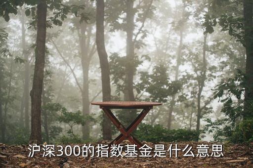 基金滬深300什么，滬深300的指數(shù)基金是什么意思