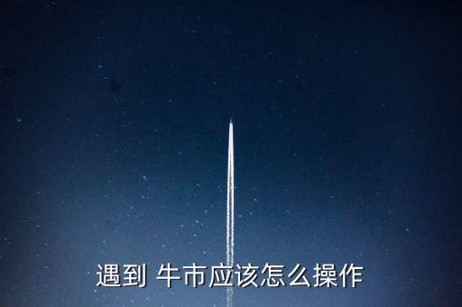遇到 牛市應該怎么操作