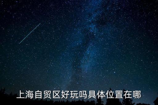 上海自貿(mào)區(qū)有什么好玩的，上海自貿(mào)區(qū)參觀有啥好玩的