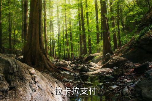 拉卡拉便利支付是什么，什么是銀聯(lián)拉卡啦支付