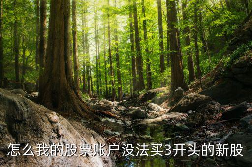 3開頭的股票為什么不能買，請問新開戶的股民為什么不能買3字開頭的股票