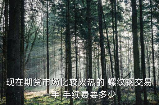 現(xiàn)在期貨市場比較火熱的 螺紋鋼交易一手 手續(xù)費要多少
