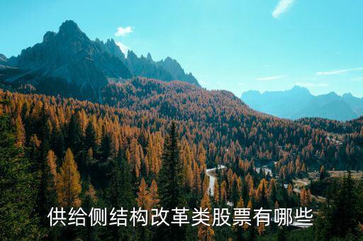 供給側(cè)最利好什么股票，供給側(cè)改革概念股有哪些