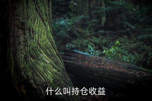 理財里的持倉收益是什么意思，基金 持倉收益7579 是什么意思啊 本人是新手