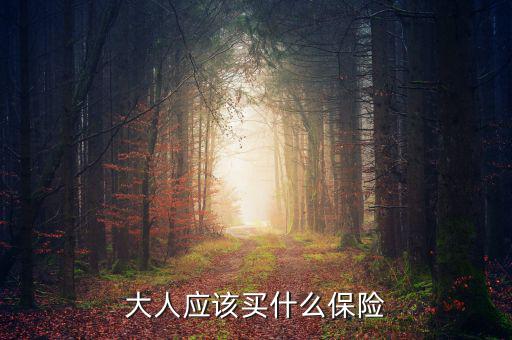 大人買什么保險最好，大人保險哪個比較合適