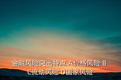 金融風(fēng)險突出特點 A價格風(fēng)險 B C流動風(fēng)險 D國家風(fēng)險