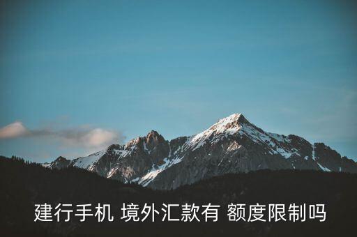 建行怎么看自己有沒境外額度,境內(nèi)個(gè)人外匯匯款境外按規(guī)定辦理