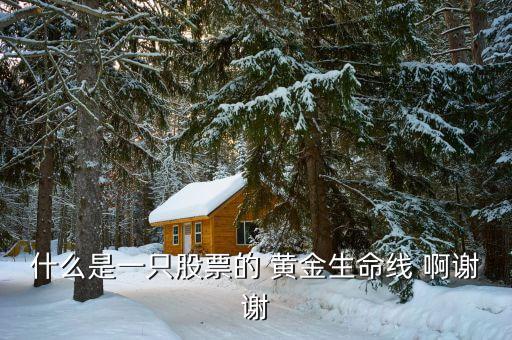 什么是股市生命線，什么是一只股票的 黃金生命線 啊謝謝