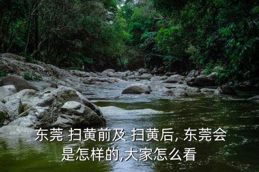  東莞 掃黃前及 掃黃后, 東莞會(huì)是怎樣的,大家怎么看