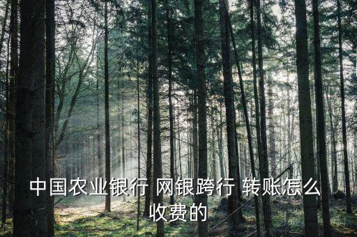 網(wǎng)銀轉(zhuǎn)賬怎么收費(fèi),如何在網(wǎng)上理財?