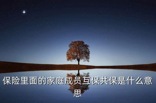 什么是共同被保險人，保險里面的家庭成員互保共保是什么意思