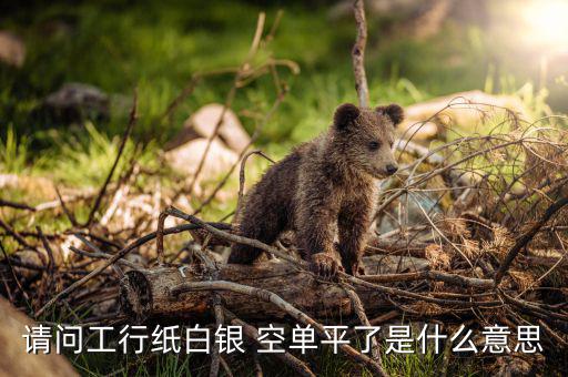 請(qǐng)問(wèn)工行紙白銀 空單平了是什么意思