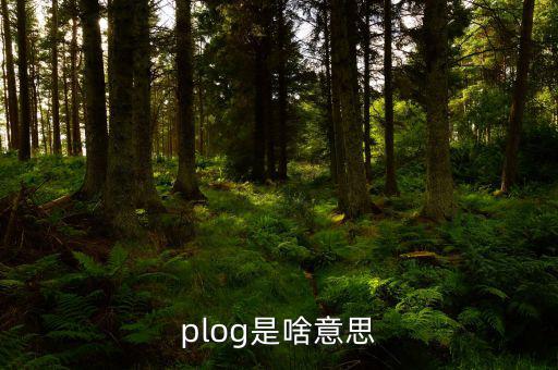 airbnb是什么意思，booking是什么意思