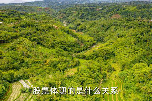 股票體現(xiàn)的是什么，股票到底反映的是什么