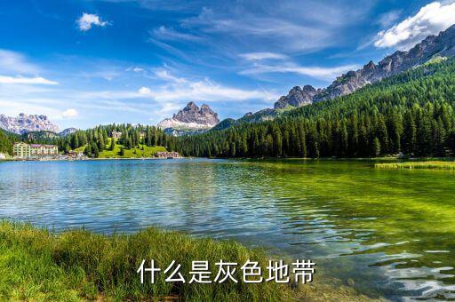 什么是項目灰色地帶，什么是灰色地帶
