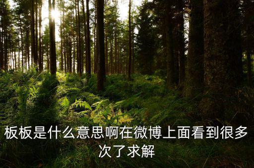 要板了是什么意思，板板是什么意思啊在微博上面看到很多次了求解