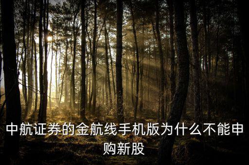 中航證券的金航線手機(jī)版為什么不能申購(gòu)新股