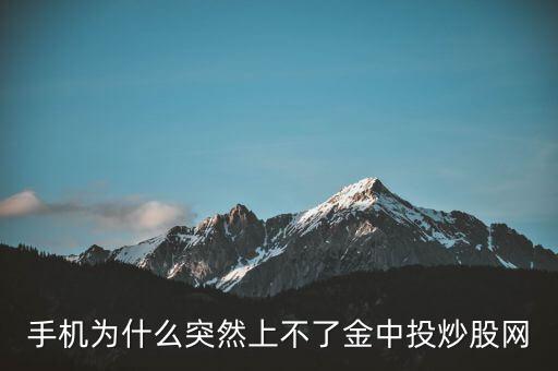 為什么不能用金航線炒股，中航證券的金航線手機版為什么不能申購新股